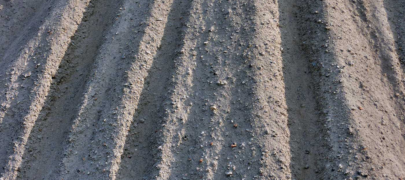 Brechsand Kopie
